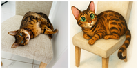 Disnify Your Photo's Perfect Personalised Gift Upload Your Own Images